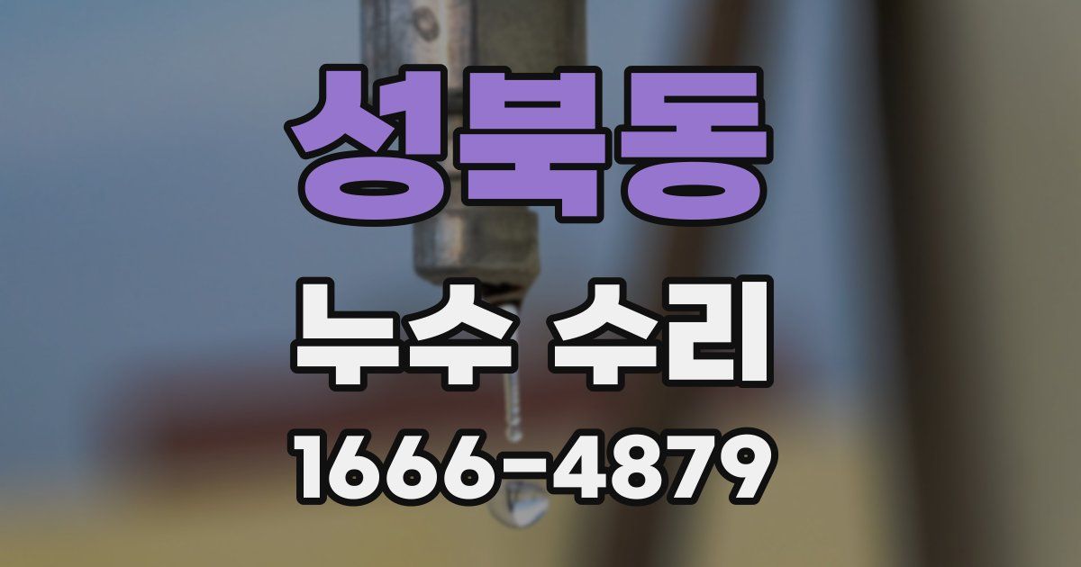 성북동 누수 수리