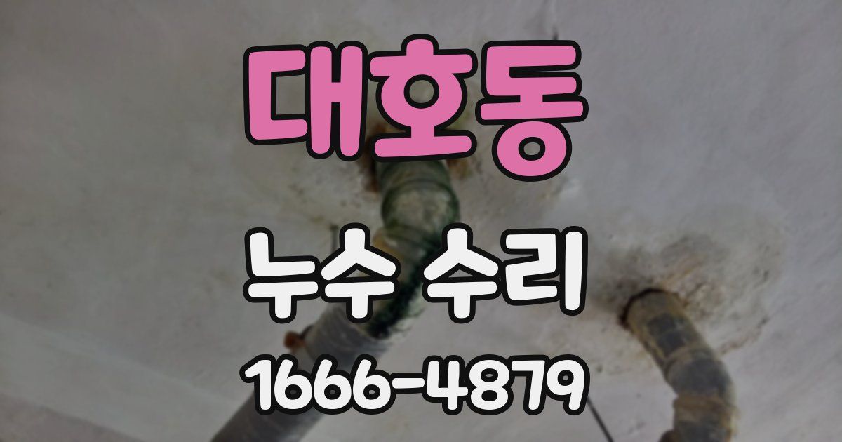 대호동 누수 수리