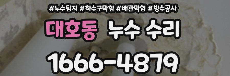 대호동 누수 수리