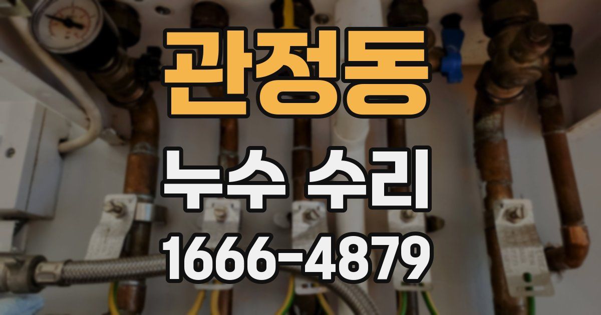 관정동 누수 수리