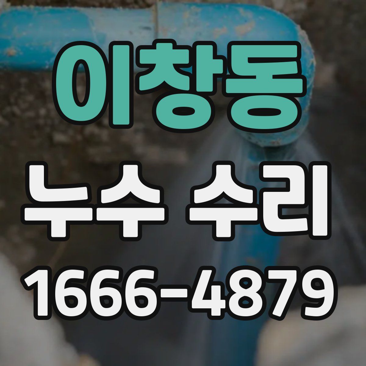 이창동 누수 수리