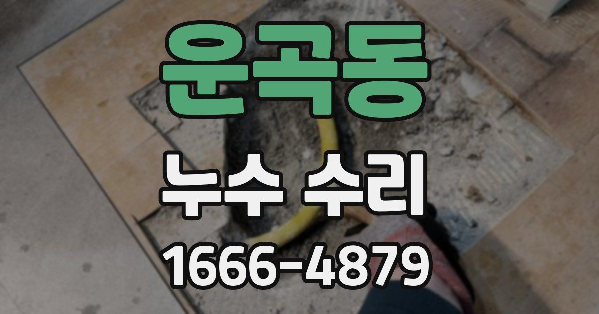 운곡동 누수 수리