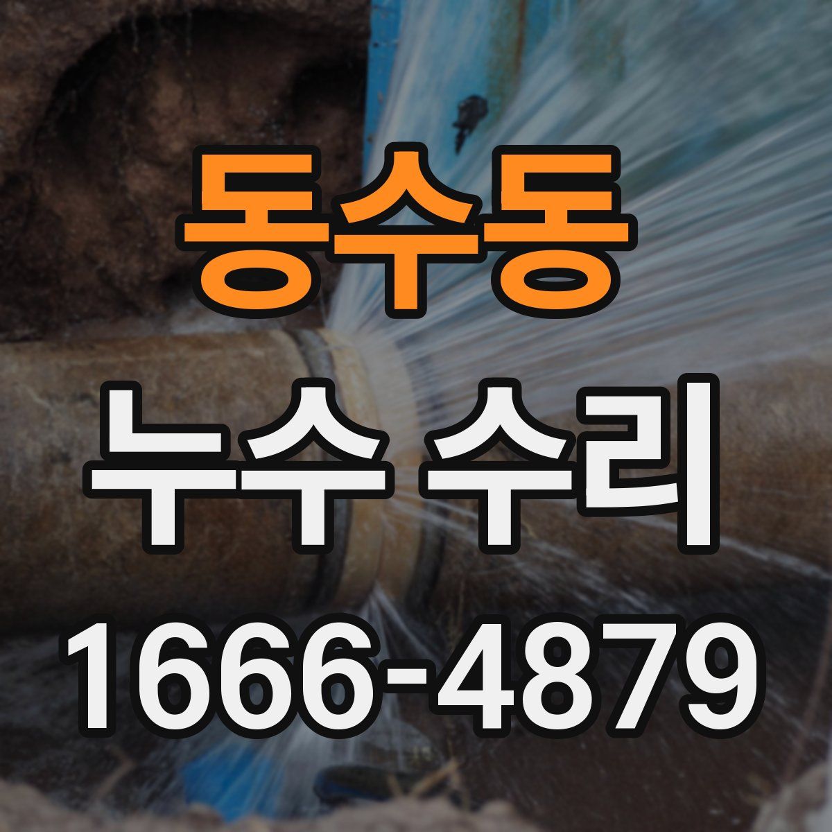 동수동 누수 수리