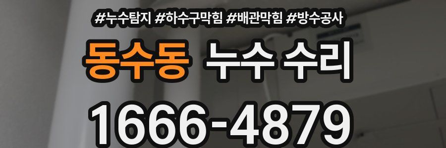 동수동 누수 수리