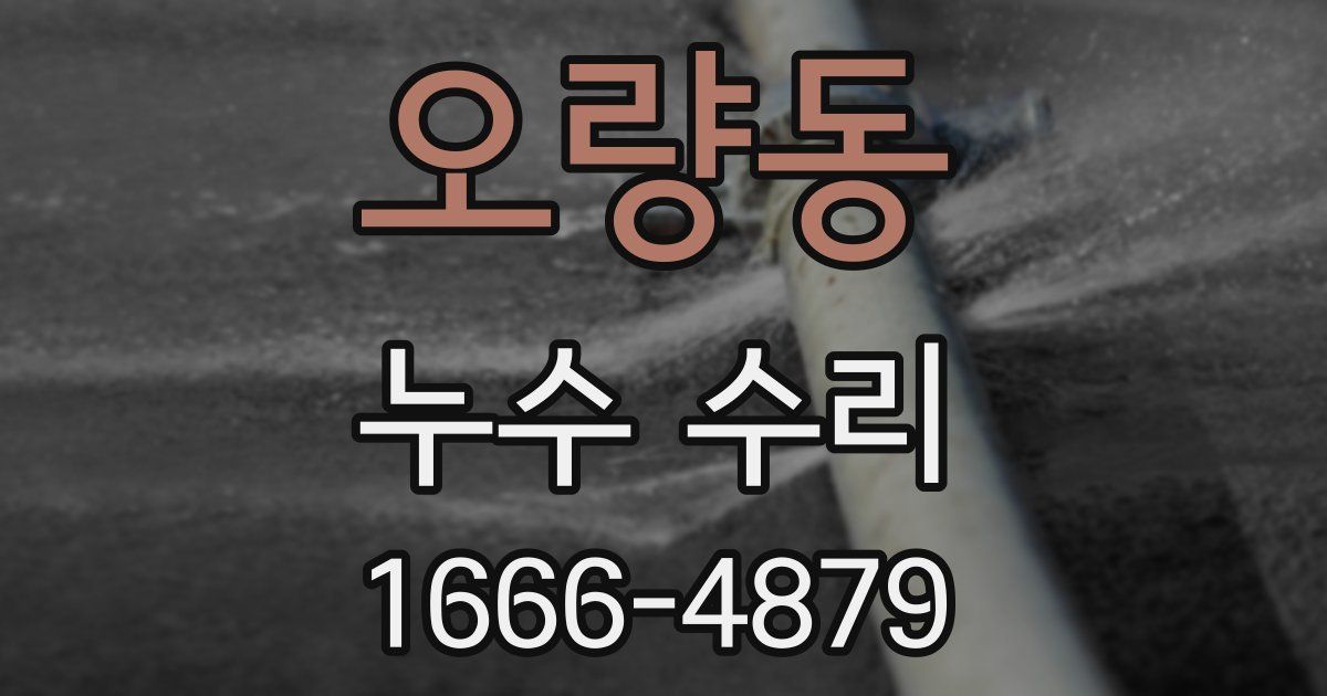 오량동 누수 수리