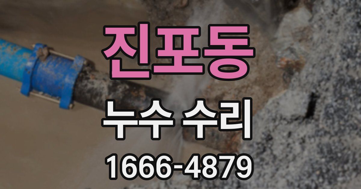 진포동 누수 수리