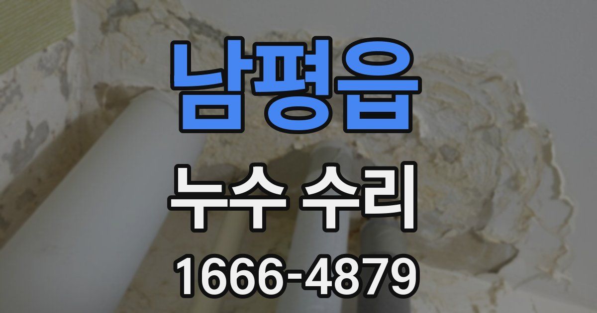 남평읍 누수 수리