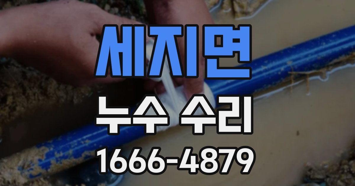세지면 누수 수리