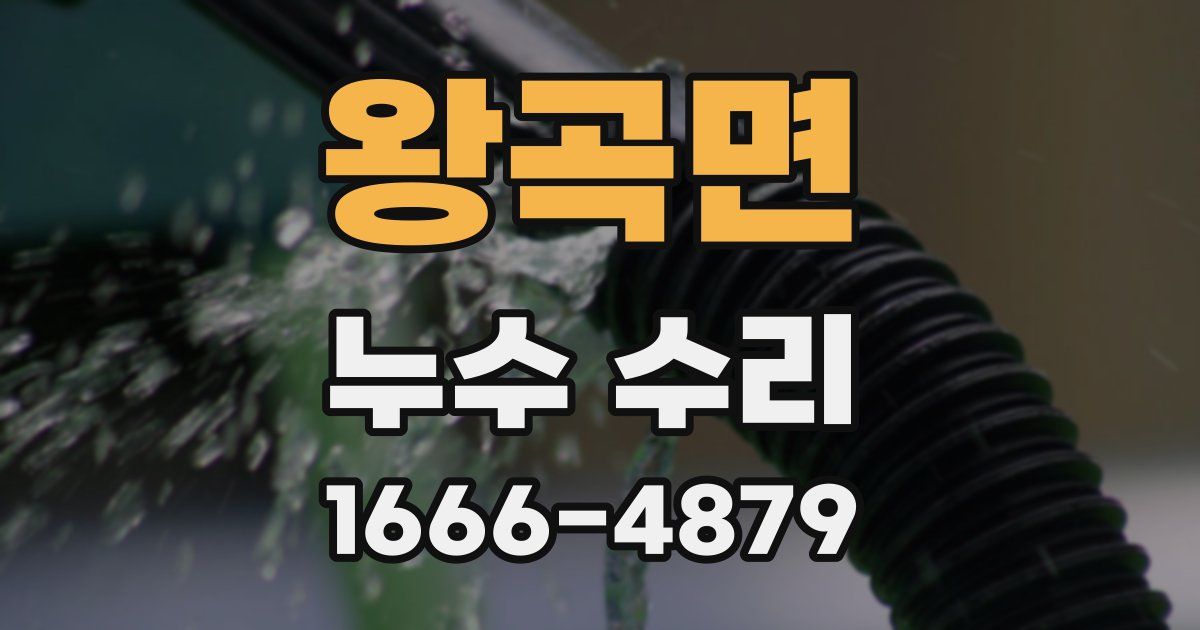 왕곡면 누수 수리