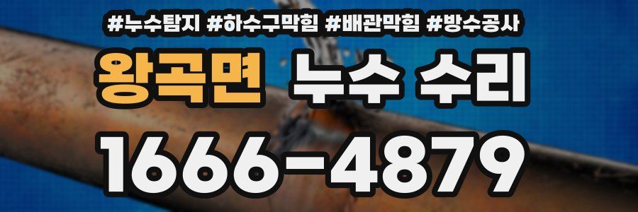왕곡면 누수 수리