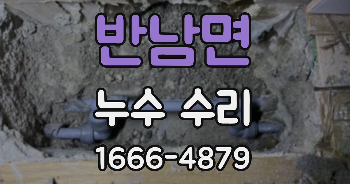 반남면 누수 수리