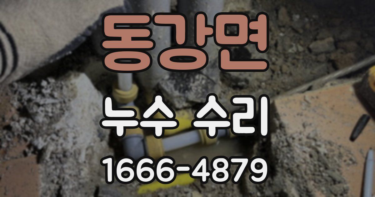 동강면 누수 수리