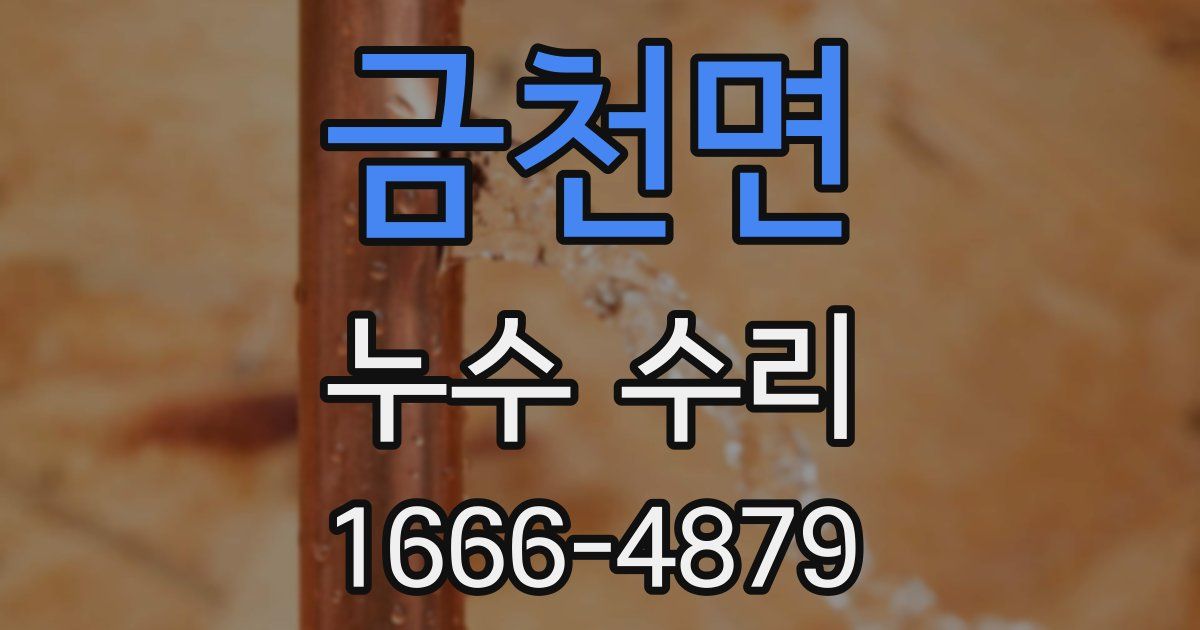 금천면 누수 수리