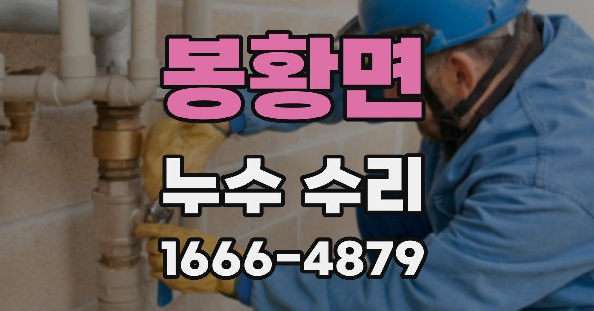 봉황면 누수 수리