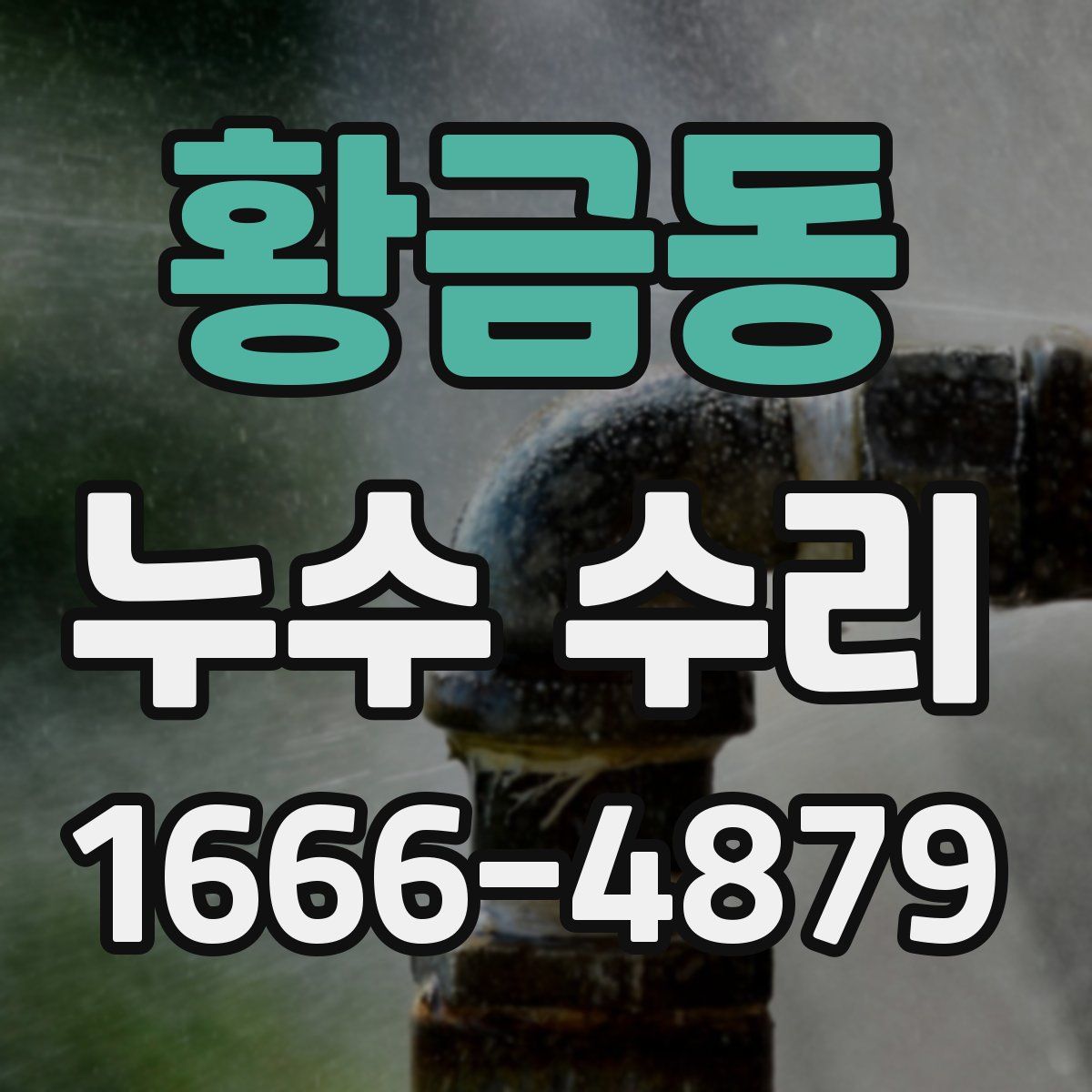 황금동 누수 수리