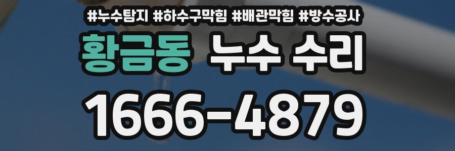 황금동 누수 수리