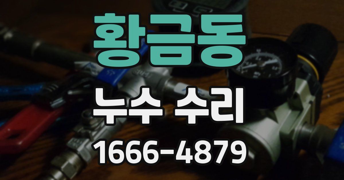 황금동 누수 수리