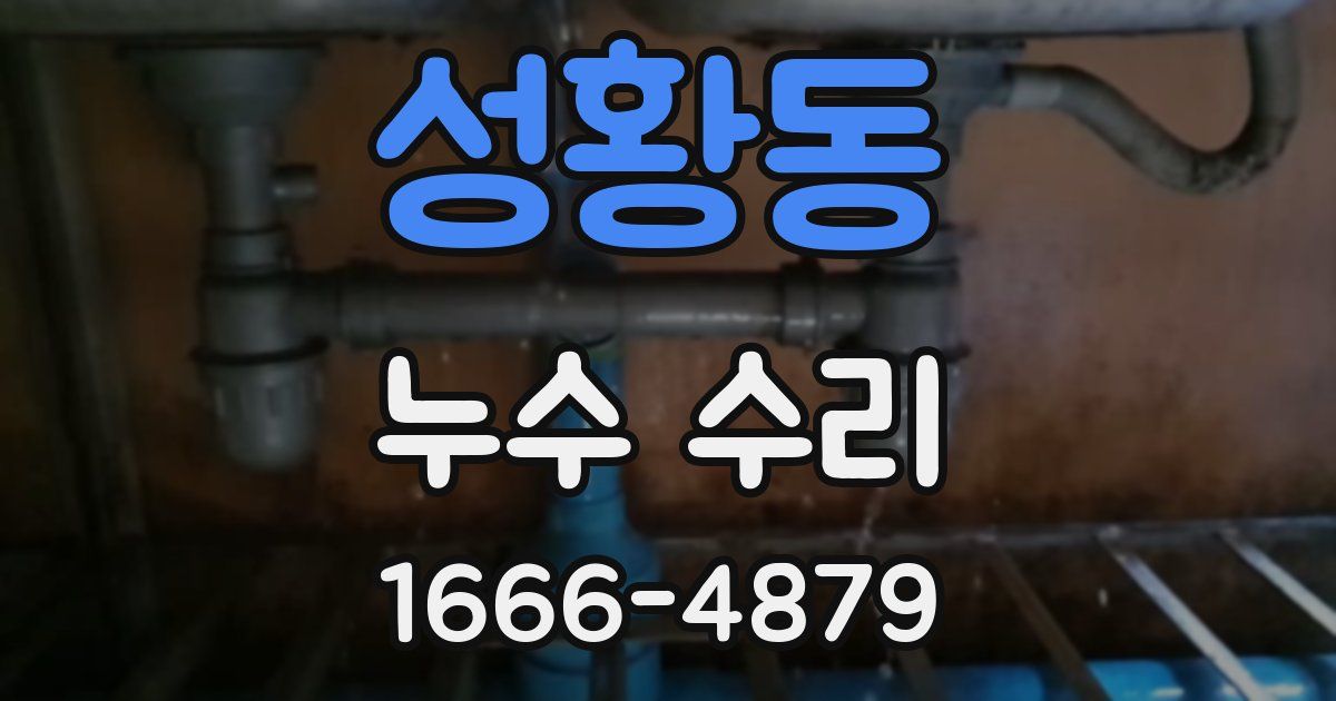 성황동 누수 수리