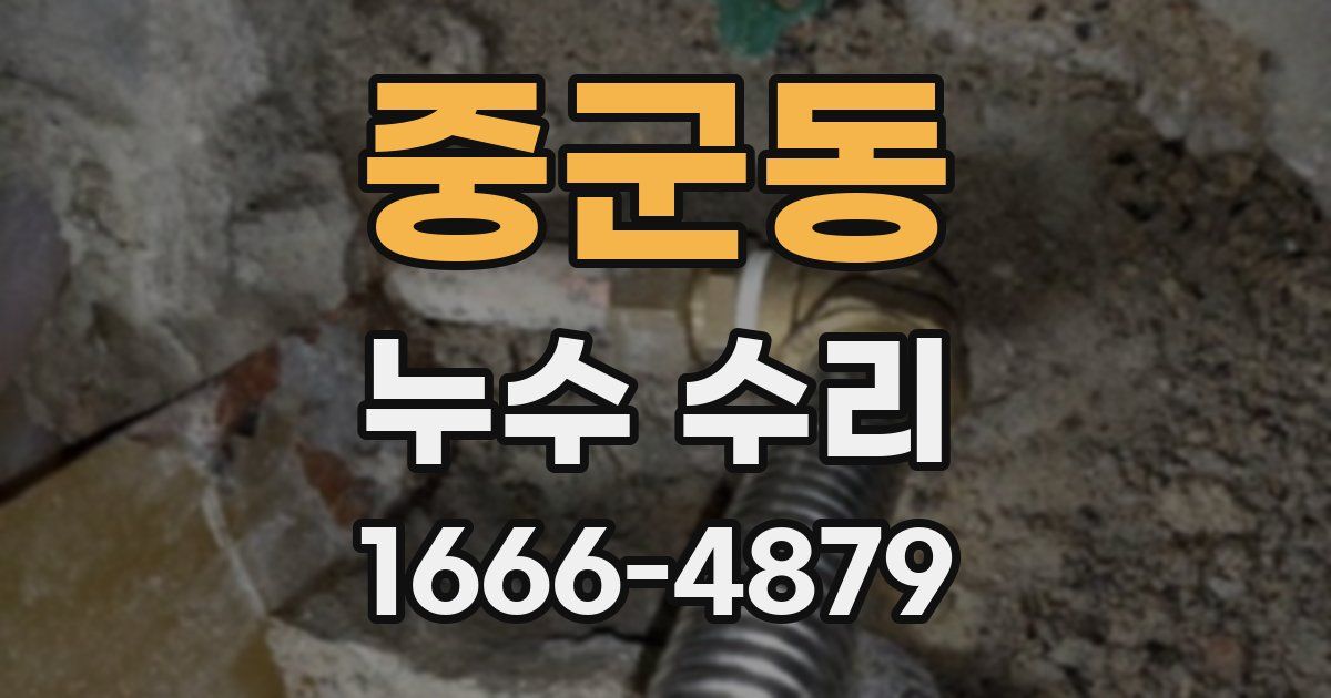 중군동 누수 수리