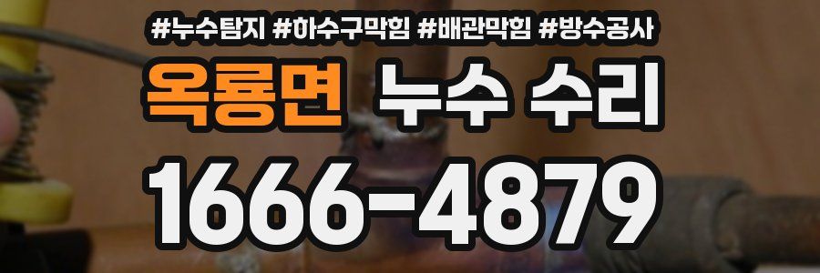옥룡면 누수 수리