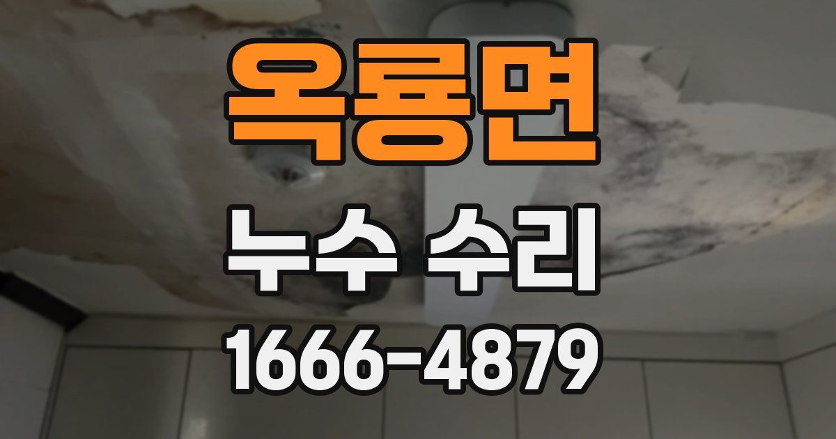 옥룡면 누수 수리