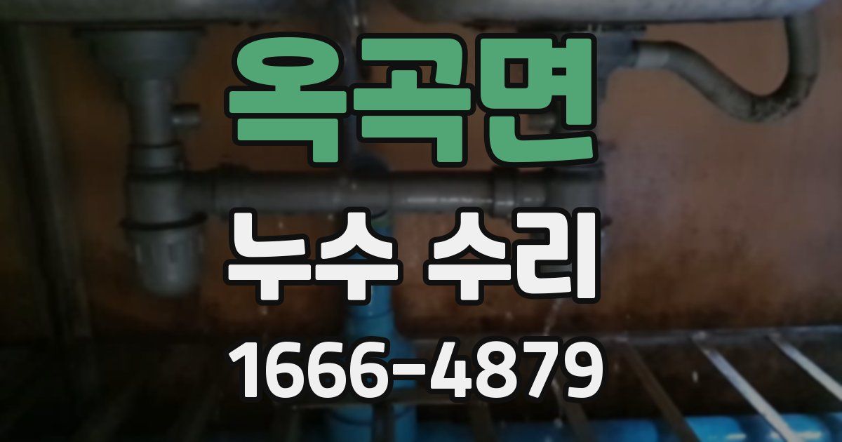 옥곡면 누수 수리