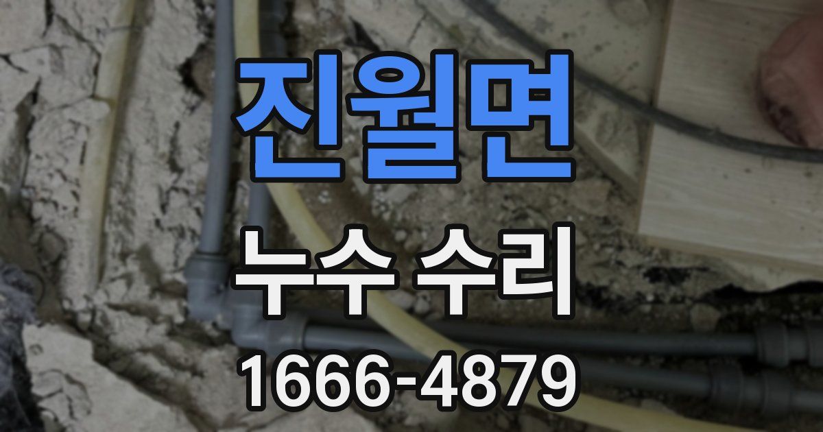 진월면 누수 수리