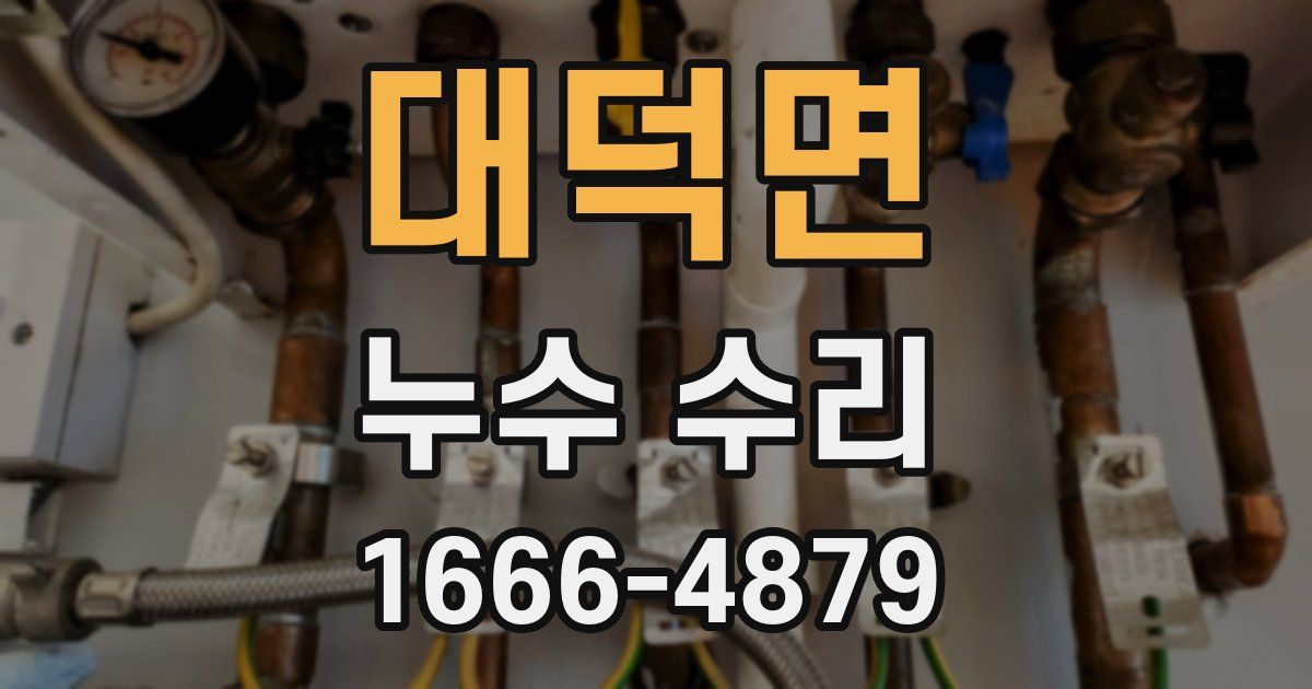 대덕면 누수 수리