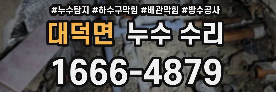 대덕면 누수 수리