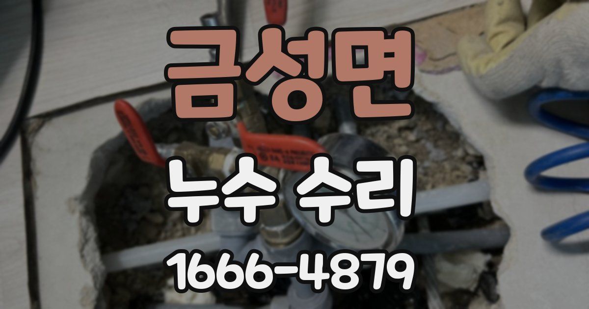 금성면 누수 수리