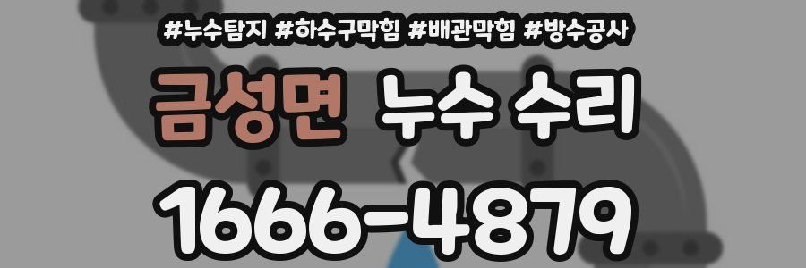 금성면 누수 수리