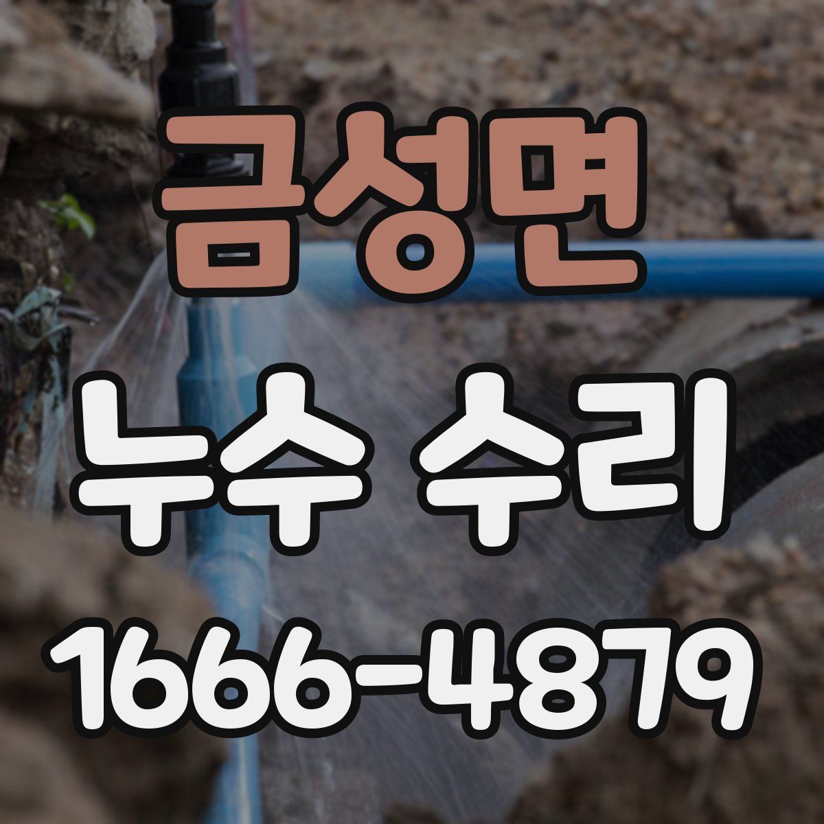 금성면 누수 수리