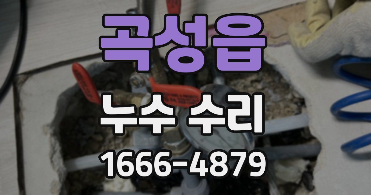 곡성읍 누수 수리