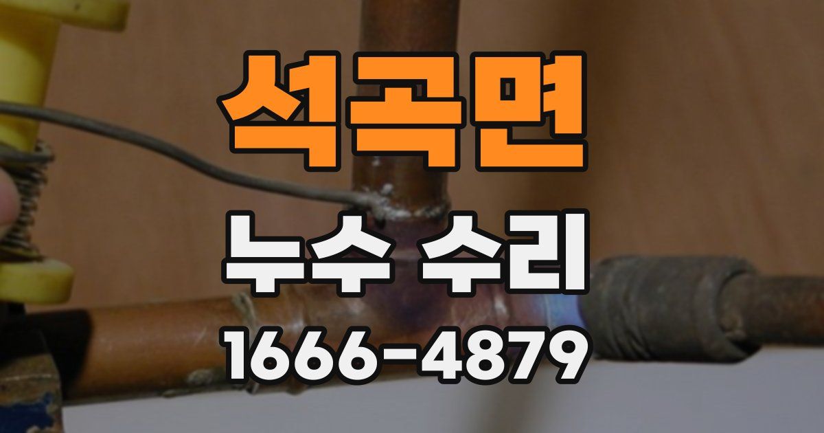 석곡면 누수 수리