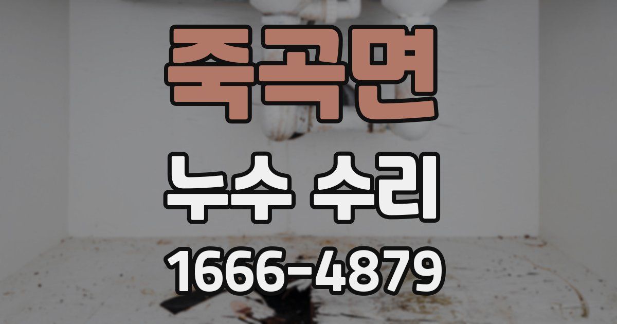 죽곡면 누수 수리