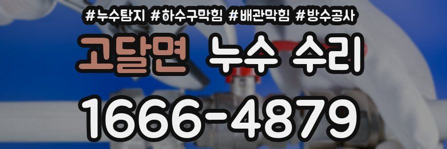 고달면 누수 수리