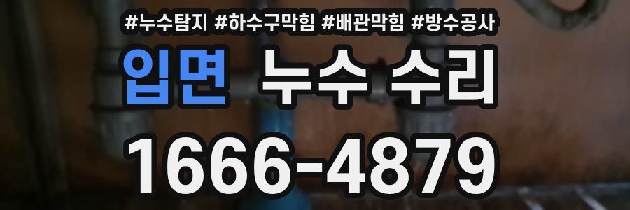 입면 누수 수리