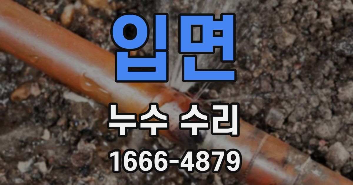 입면 누수 수리