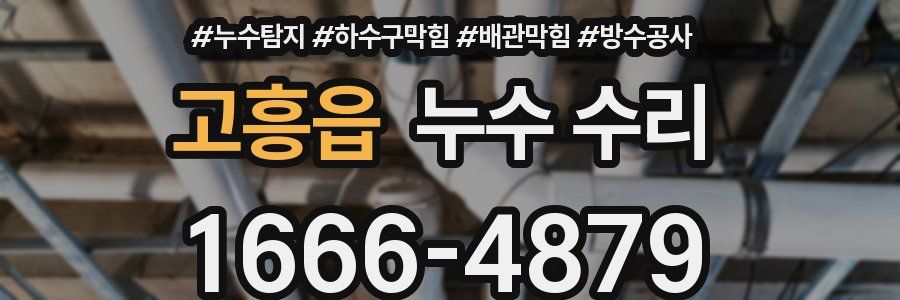 고흥읍 누수 수리