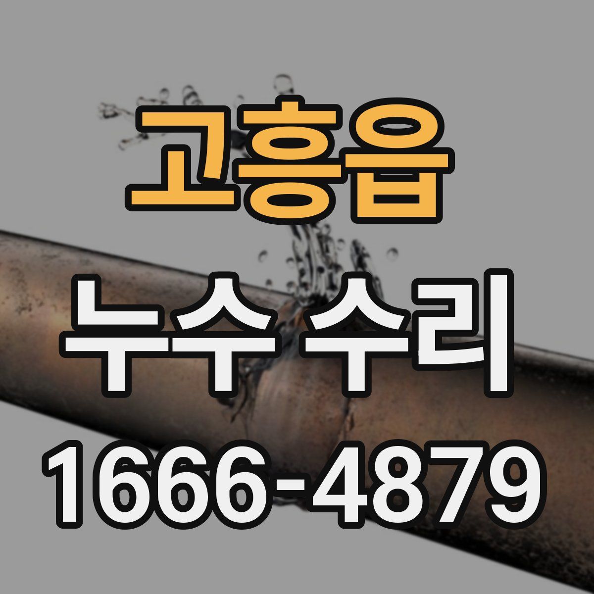 고흥읍 누수 수리