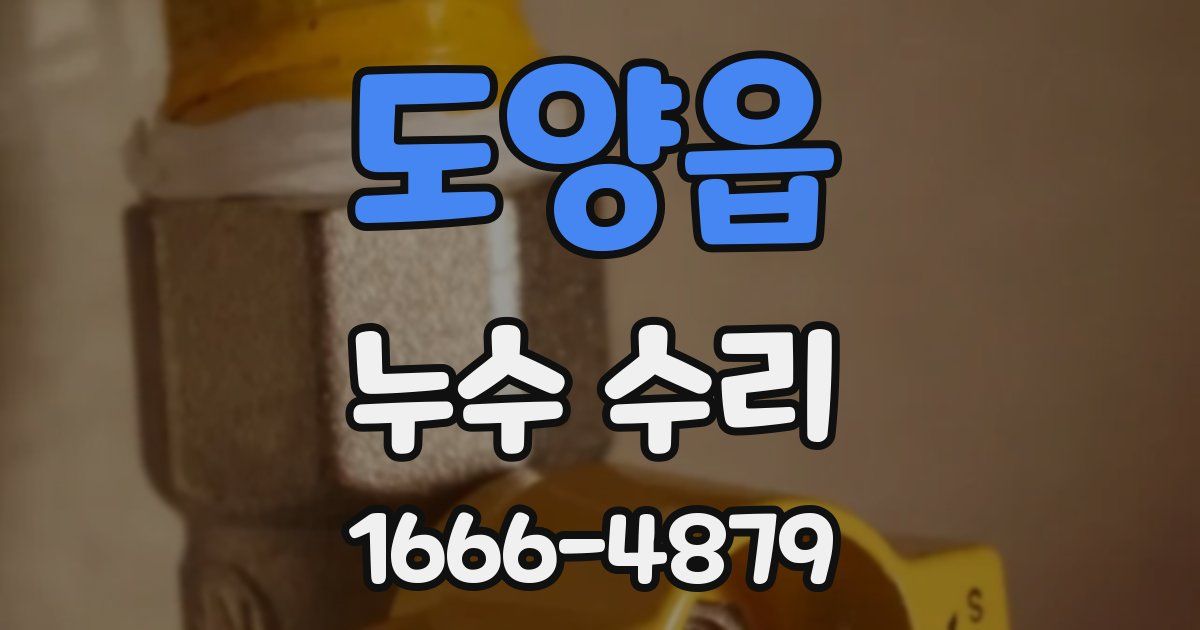 도양읍 누수 수리