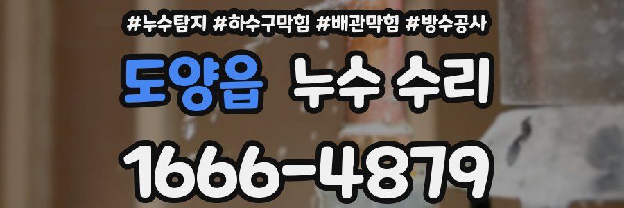 도양읍 누수 수리