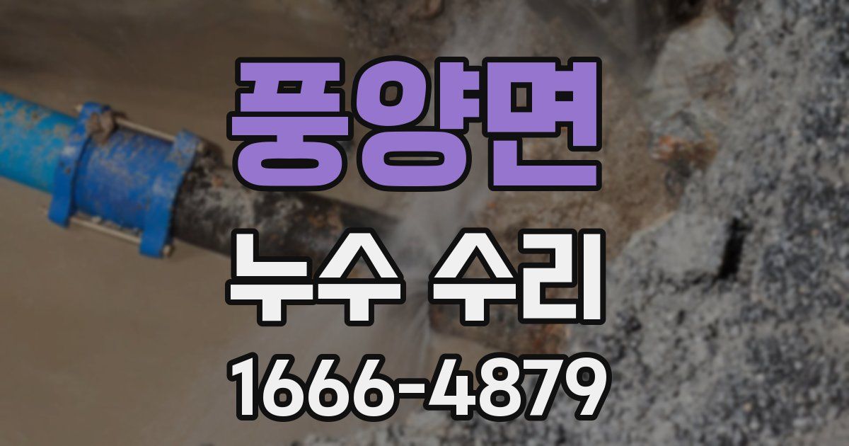 풍양면 누수 수리
