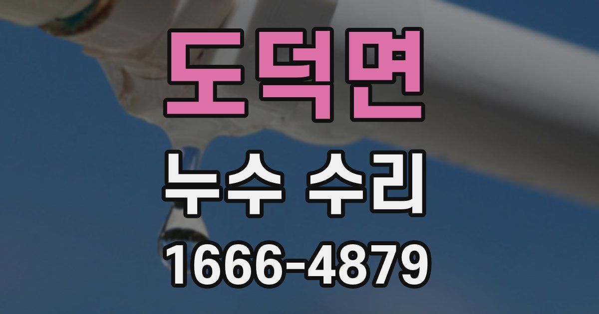도덕면 누수 수리