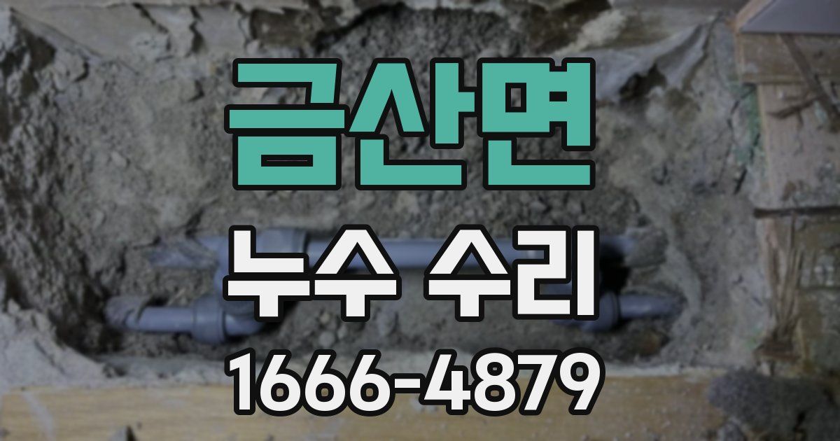금산면 누수 수리