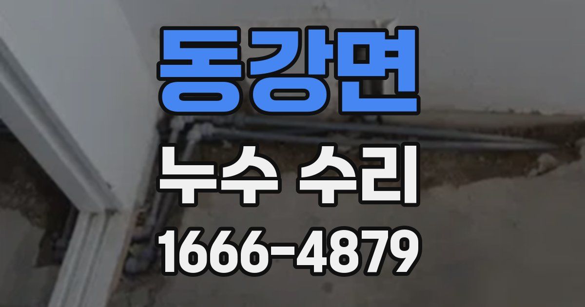 동강면 누수 수리