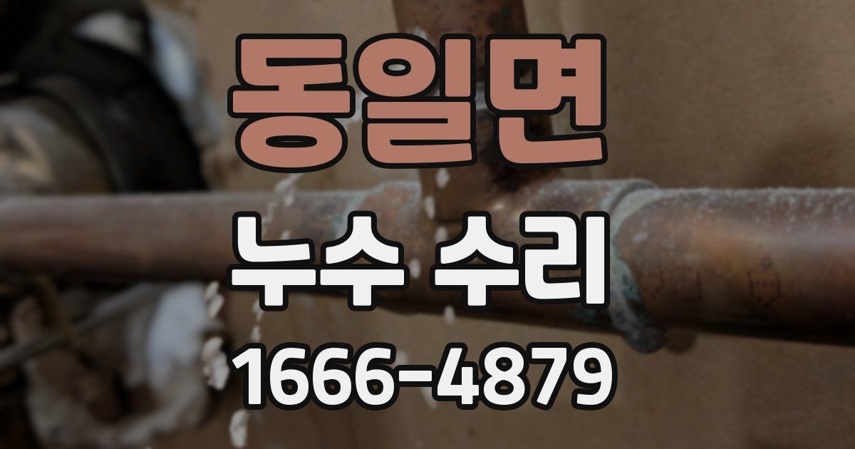 동일면 누수 수리