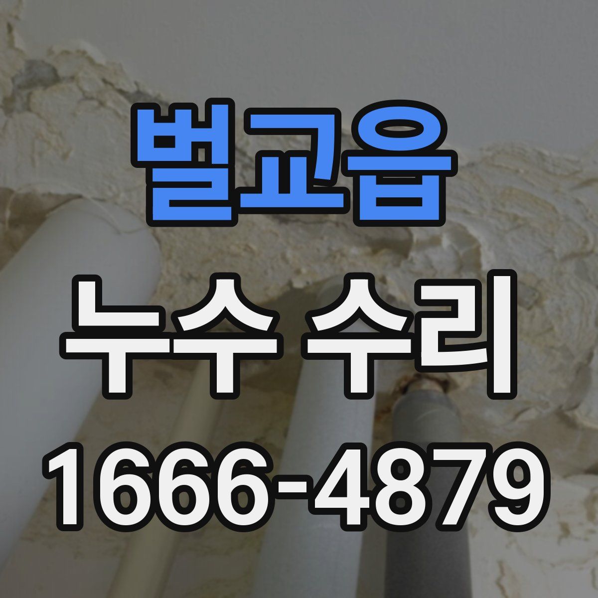 벌교읍 누수 수리