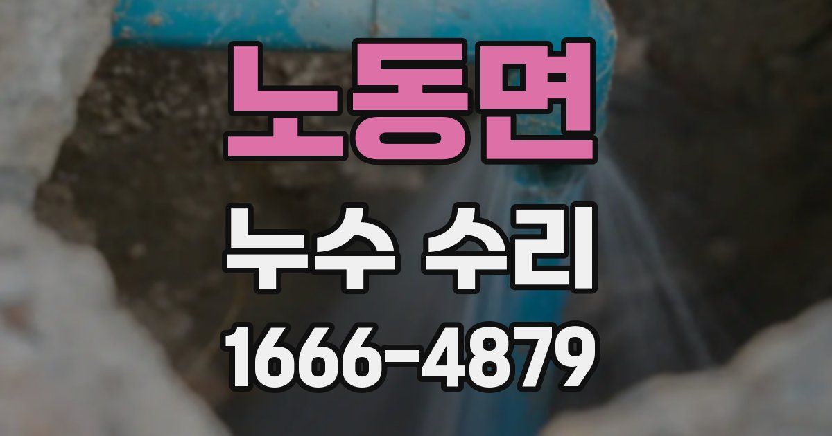 노동면 누수 수리