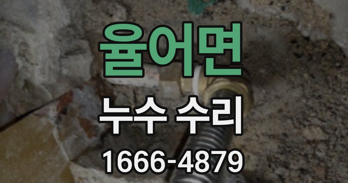 율어면 누수 수리